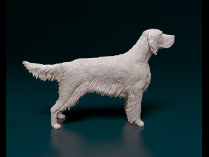 English Setter Modello di stampa 3D