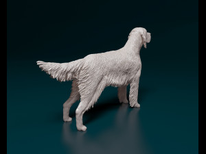 English Setter Modello di stampa 3D