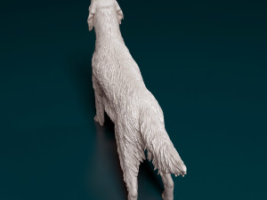 English Setter Modello di stampa 3D