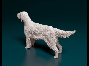 English Setter Modello di stampa 3D