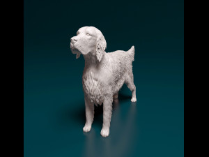English Setter Modello di stampa 3D