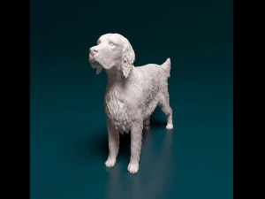 Penyetel Bahasa Inggris Model Cetak 3D