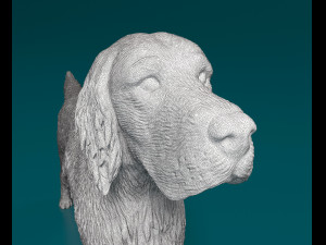 English Setter Modello di stampa 3D