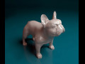 French Bulldog 3D प्रिंट मॉडल