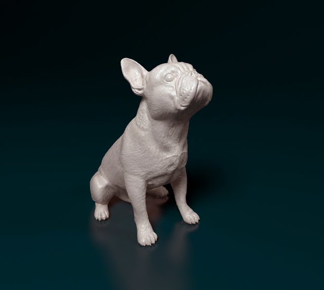 French Bulldog sitting 3D Print Model .c4d .max .obj .3ds .fbx .stl .blend 