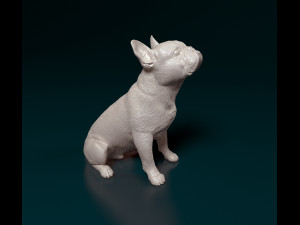 French Bulldog sitting 3D Print Model
