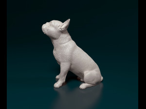 French Bulldog sitting 3D Print Model