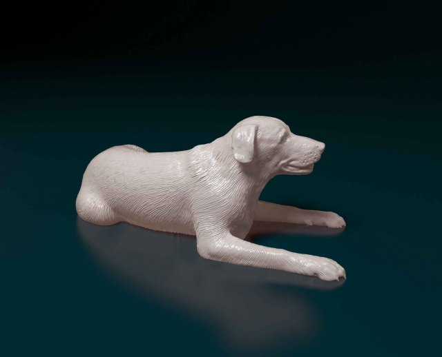Labrador lying down Model do druku 3D .c4d .max .obj .3ds .fbx .stl .blend