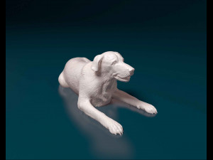 Labrador lying down Model do druku 3D