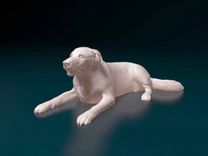 Labrador lying down Model do druku 3D