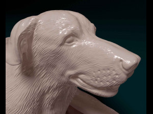 Labrador lying down Model do druku 3D