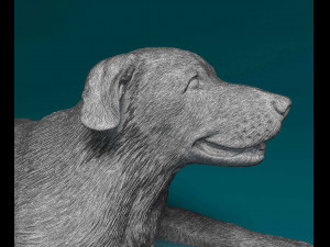 Labrador lying down Model do druku 3D