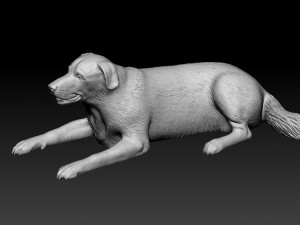 Labrador lying down Model do druku 3D