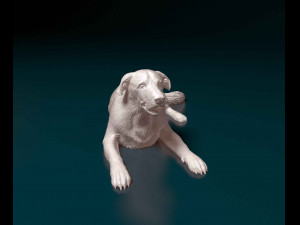 Labrador lying down Model do druku 3D