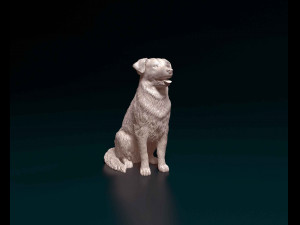 Labrador x Border Collie 3D-Druckmodell