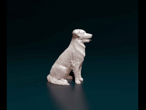 Labrador x Border Collie Modèles 3D en vedette