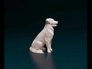 Labrador x Border Collie 3D Print Model