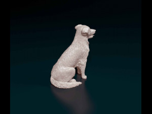 Labrador x Border Collie Modèles 3D en vedette
