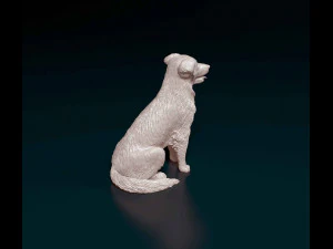 Labrador x Border Collie 3D Print Model