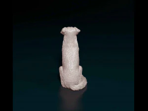 Labrador x Border Collie 3D Print Model