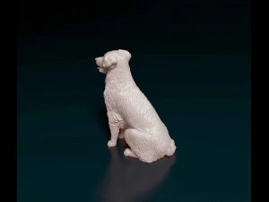 Labrador x Border Collie 3D Print Model