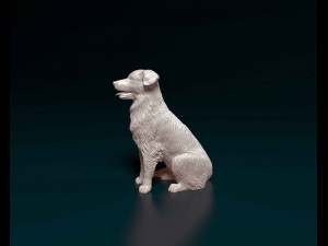 Labrador x Border Collie Modèles 3D en vedette