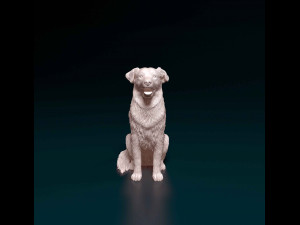 Labrador x Border Collie Modèles 3D en vedette