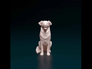 Labrador x Border Collie 3D Print Model