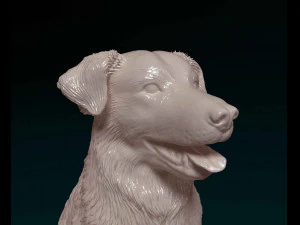 Labrador x Border Collie 3D Print Model