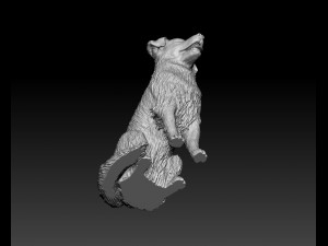 Labrador x Border Collie Modèles 3D en vedette