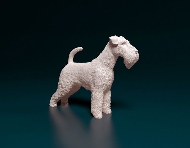 Welsh terrier 3D 打印模型 .c4d .max .obj .3ds .fbx .stl .blend 
