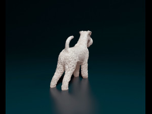 Welsh terrier 3D 打印模型