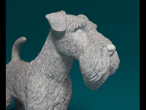 Welsh terrier 3D 打印模型