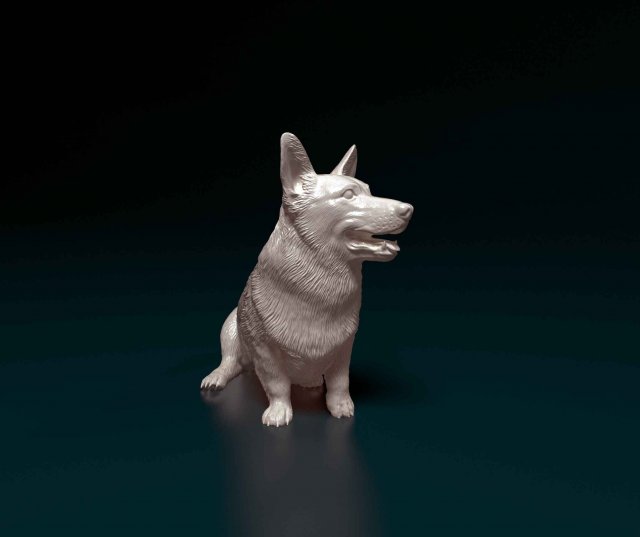 Welsh Corgi Pembroke sitting Modelo de Impressão 3D .c4d .max .obj .3ds .fbx .stl .blend 