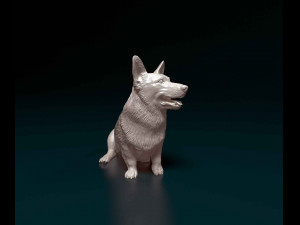 Welsh Corgi Pembroke sitting 3D Print Model