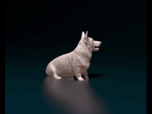 Welsh Corgi Pembroke sitting Modelo de Impressão 3D