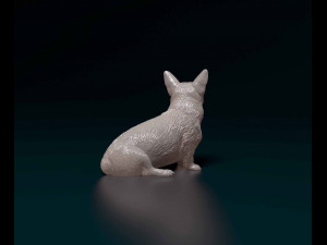 Welsh Corgi Pembroke sitting Modelo de Impressão 3D