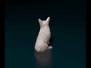 Welsh Corgi Pembroke sitting Modelo de Impressão 3D