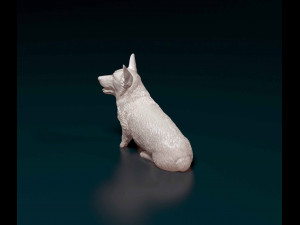 Welsh Corgi Pembroke sitting Modelo de Impressão 3D
