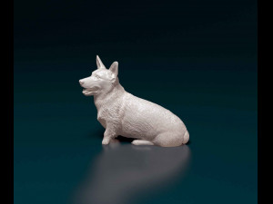 Welsh Corgi Pembroke sitting Modelo de Impressão 3D