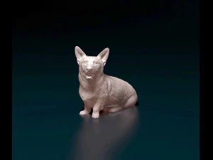 Welsh Corgi Pembroke sitting 3D Print Model
