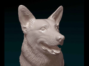 Welsh Corgi Pembroke sitting Modelo de Impressão 3D