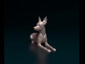 Toy terrier lying down 3D प्रिंट मॉडल