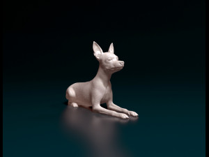 Toy terrier lying down Modelo de Impressão 3D