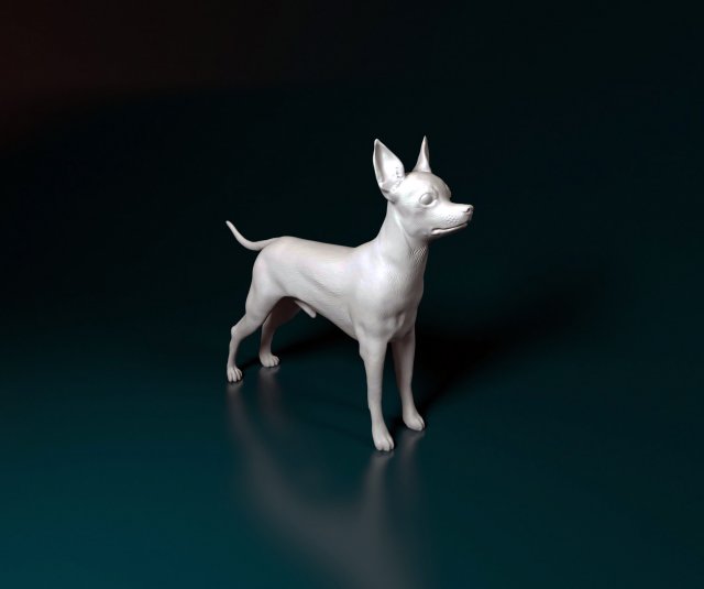 Toy terrier 3D Print Model .c4d .max .obj .3ds .fbx .stl .blend 