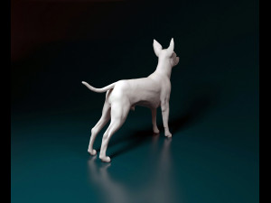 Toy terrier 3D Print Model