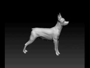Toy terrier 3D Print Model