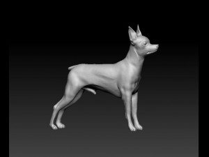 Toy terrier 3D Print Model