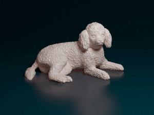Toy Poodle lying down 3D Print Model