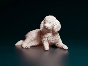 Toy Poodle lying down 3D Print Model